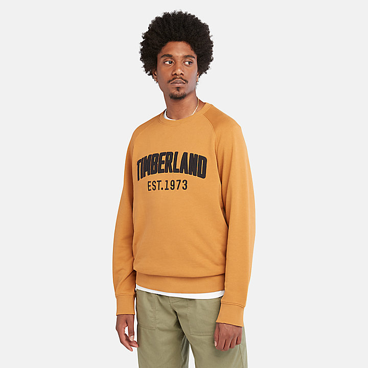 Modern Wash Logo Sweatshirt for Men in Orange