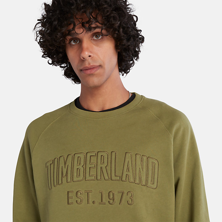 Modern Wash Logo Sweatshirt for Men in Green-