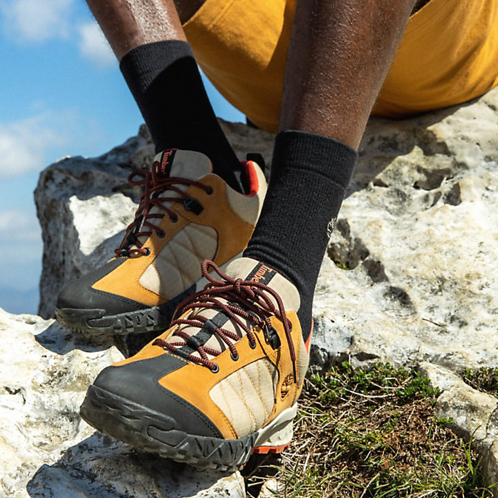 Chaussures de randonnée imperméables Trailquest Timberland® x Icebreaker® pour homme en jaune-