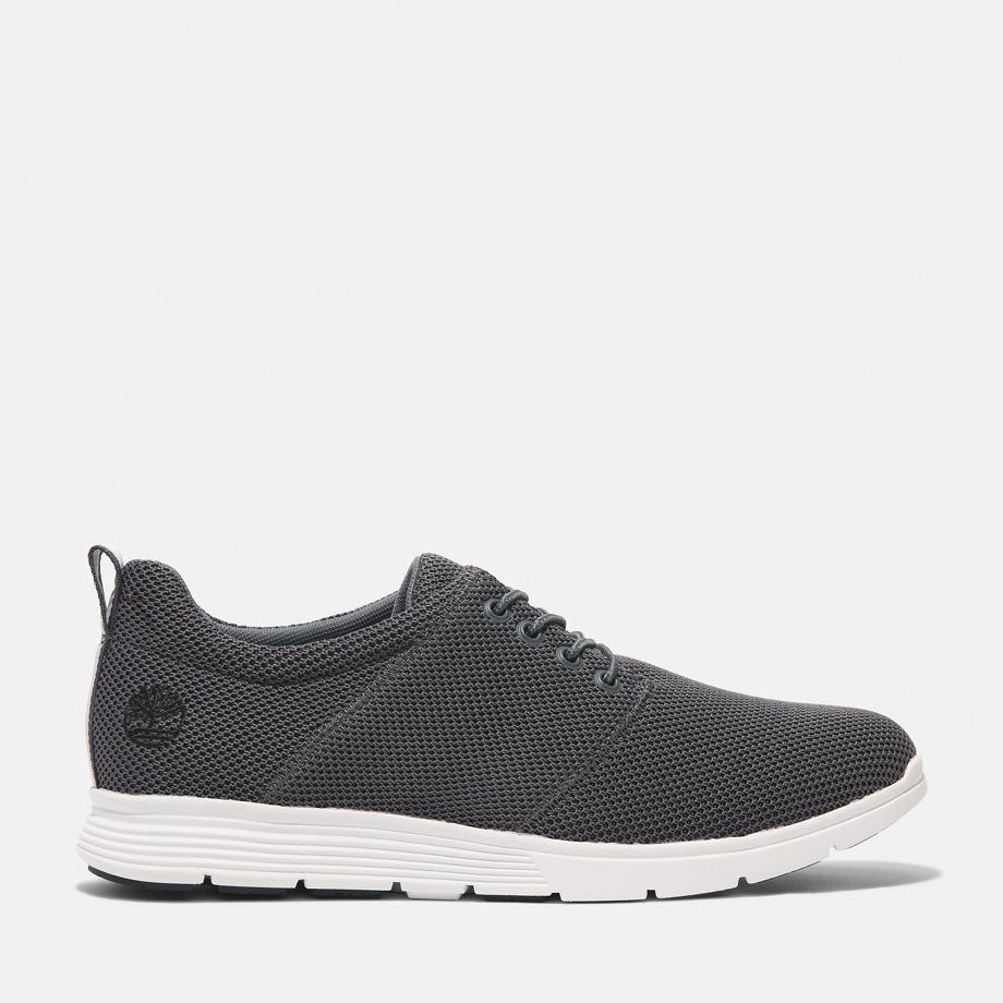 Timberland Killington Lace-up Low Trainer For Men In Grey Grey