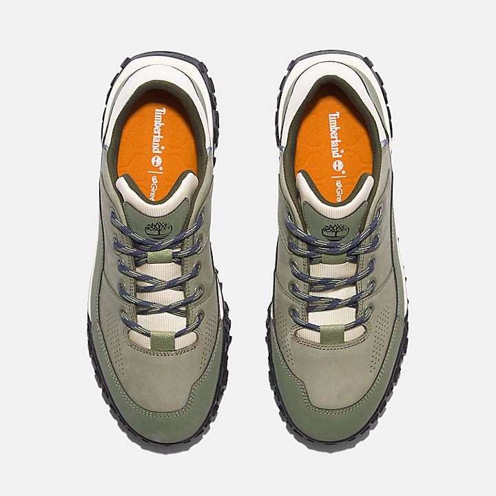 Chaussure de randonnée Greenstride™ Motion 6 pour homme en vert