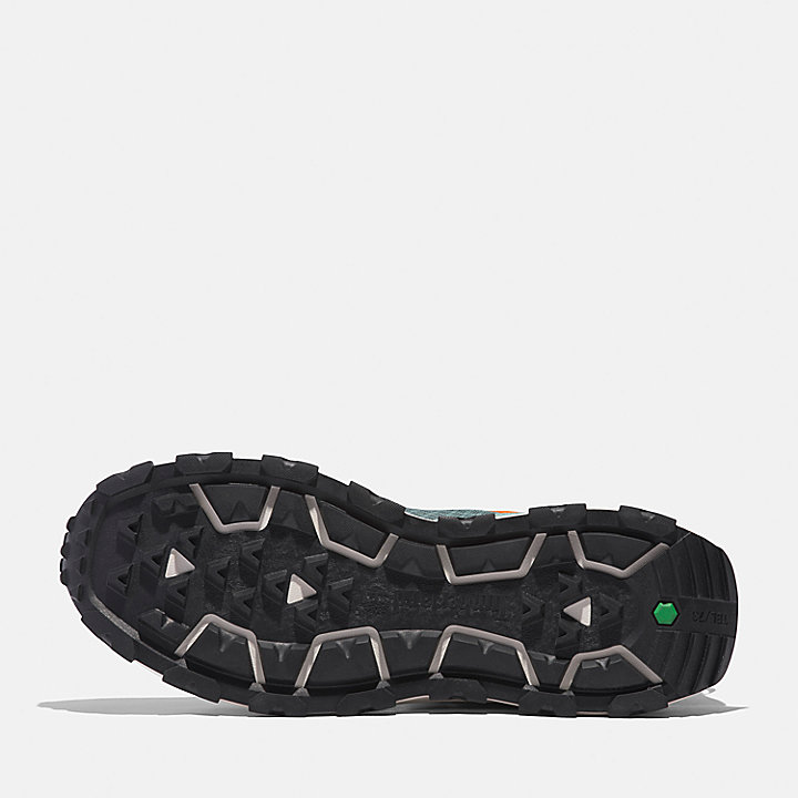 Sneaker Bassa Stringata Winsor Trail da Uomo in verde chiaro