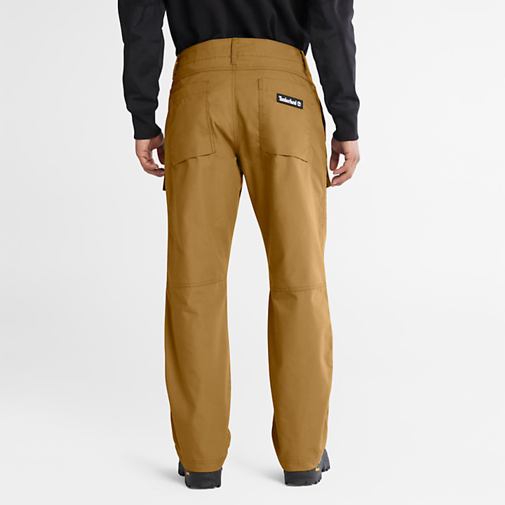 Pantaloni Workwear Progressive Utility da Uomo in arancione-