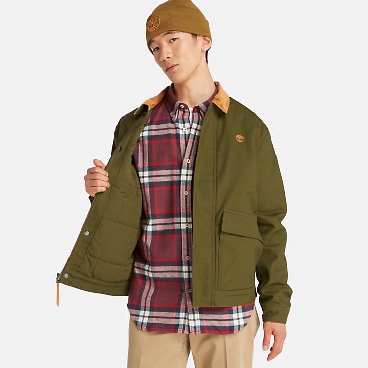 Strafford Insulated Jacket for Men in Green-