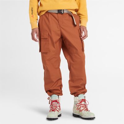Timberland Water Repellent Cargo Trousers For Men In Terracotta Brown