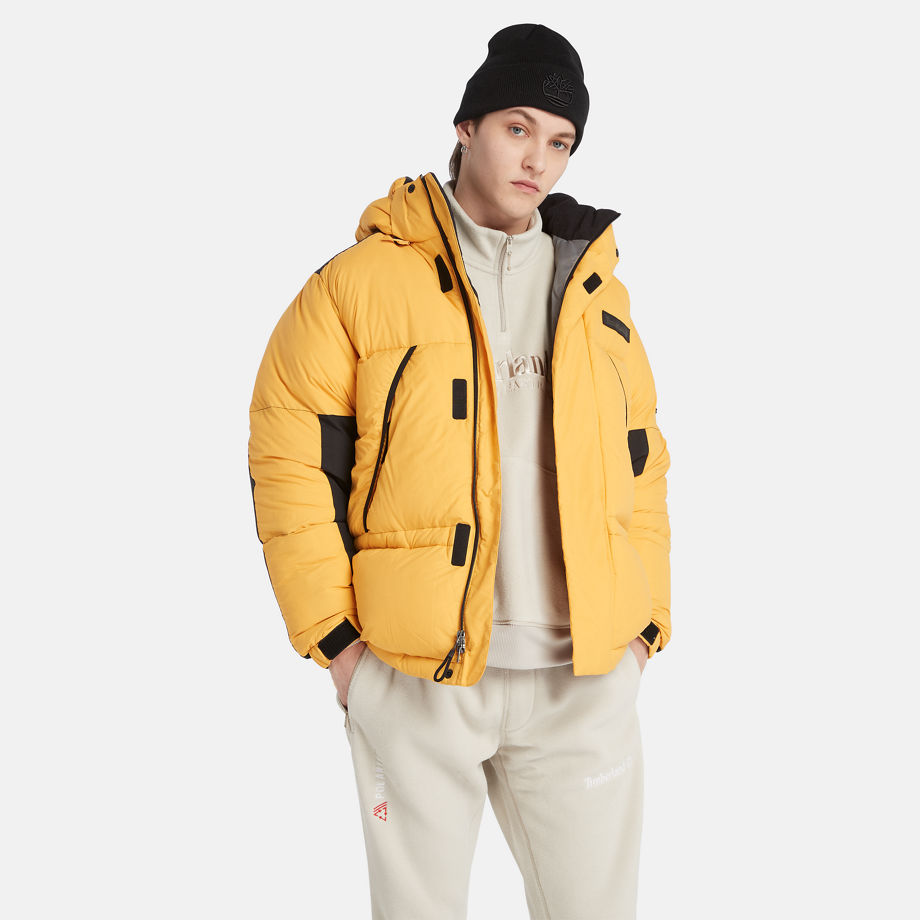 Timberland Puffer Parka For Men In Yellow Yellow