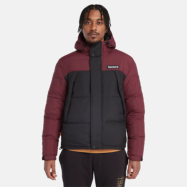 Outdoor Archive Puffer Jacket for Men in Burgundy-