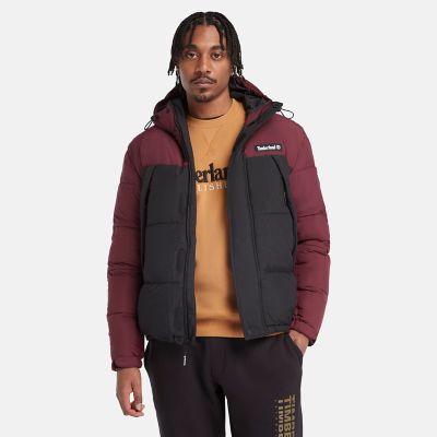 Timberland Outdoor Archive Puffer Jacket For Men In Burgundy Burgundy