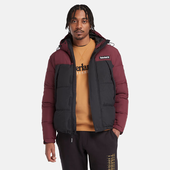Outdoor Archive Puffer Jacket for Men in Burgundy | Timberland