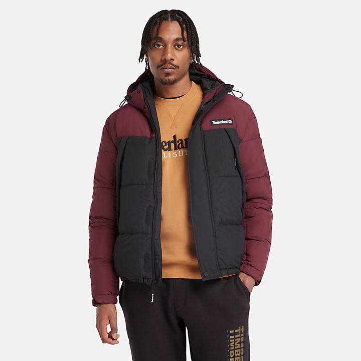 Outdoor Archive Puffer Jacket for Men in Burgundy-