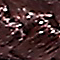 Cordones Redondos de Nailon de 132 cm/52 in. en marrón 