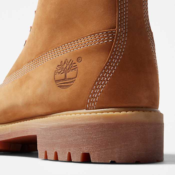 Creo que Traición De ninguna manera Men's Timberland® Premium 6-Inch Waterproof Boots