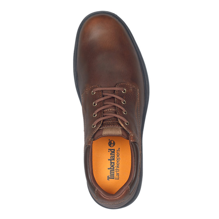 Men's Richmont Plain Toe Oxford Shoes | Timberland US Store