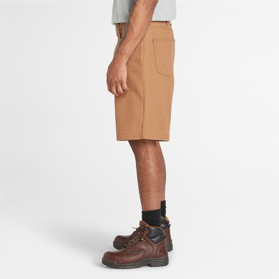 Timberland short sale