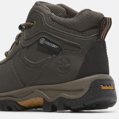 Toddler Mt. Maddsen Waterproof Hiking Boots