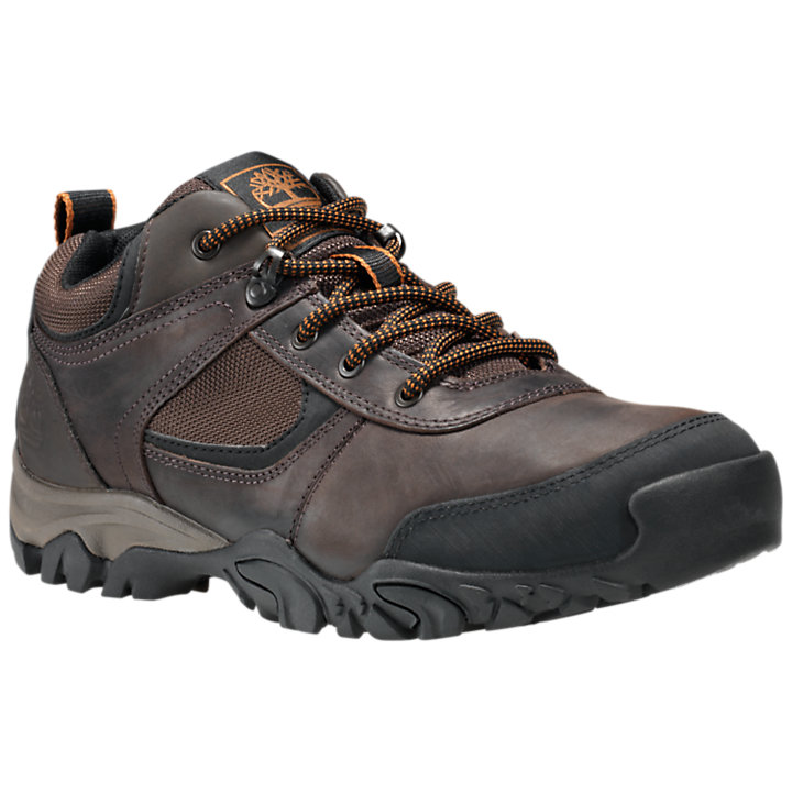 Men's Mt. Abram Hiking Shoes | Timberland US Store