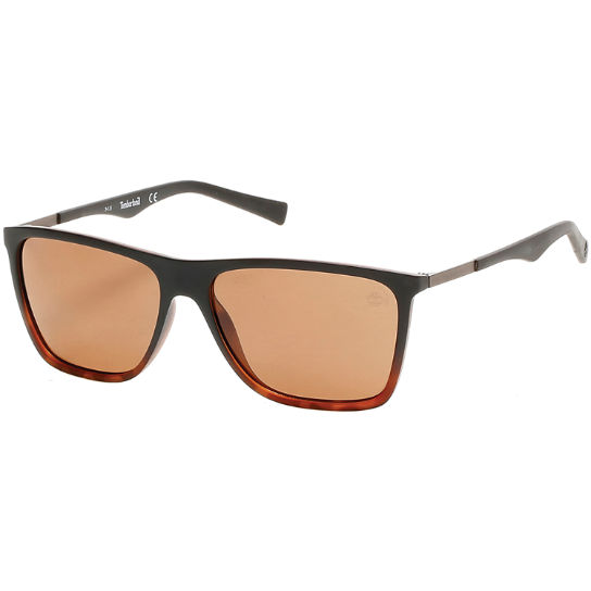 Polarized Tortoise Frame Sunglasses | Timberland US Store