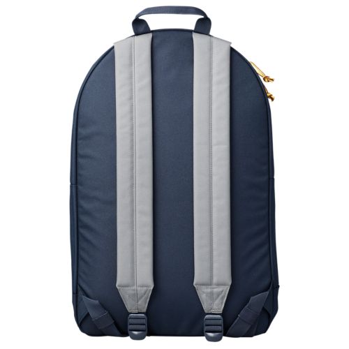 Thayer 28-Liter Color Block Backpack-