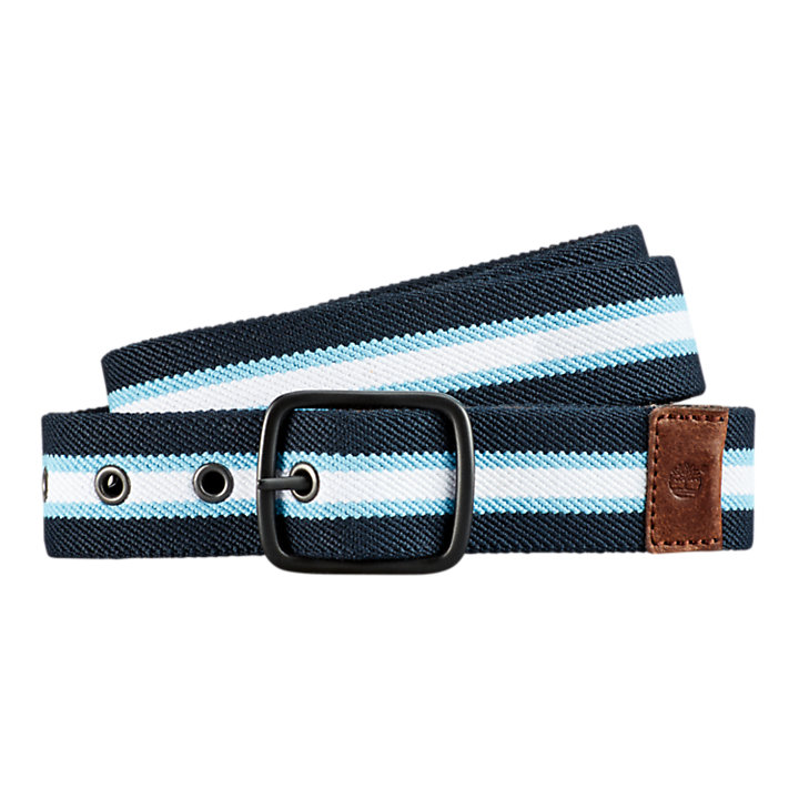 Vintage Striped Belt Blue Thin Canvas L