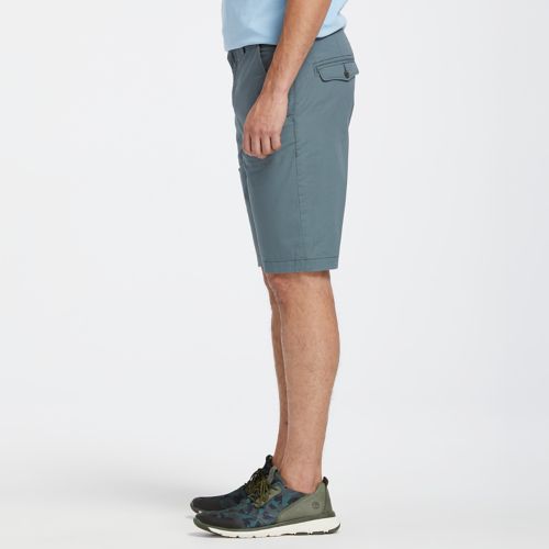 timberland chino shorts