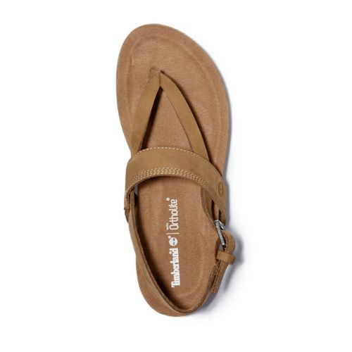 Women's Malibu Waves Thong Sandals-