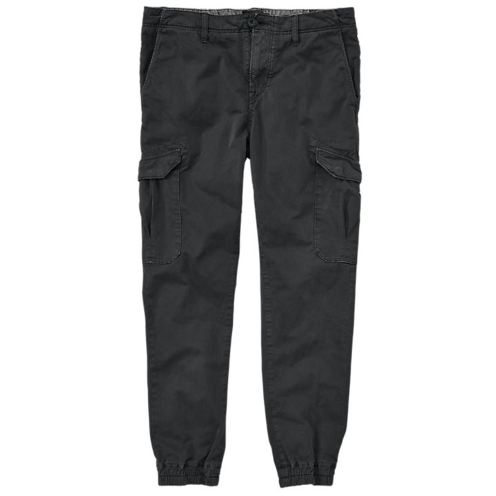 Men's Lovell Lake Slim Fit Tapered Cargo Pant | Timberland US Store