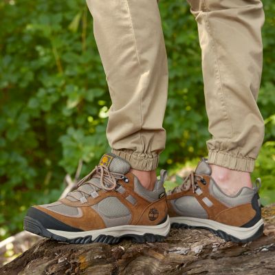 Men's Mt. Major Waterproof Hiking Shoes