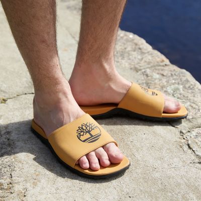 Timberland | Men's Fells Slide Sandals