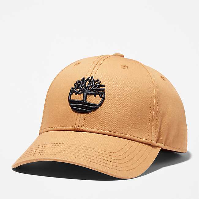 Baseball Caps Embroidery, Snapback Baseball Hat, Mens Snapback Hats