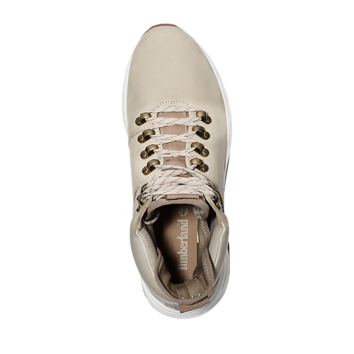 Women's Delphiville High-Top Sneakers | Timberland US Store