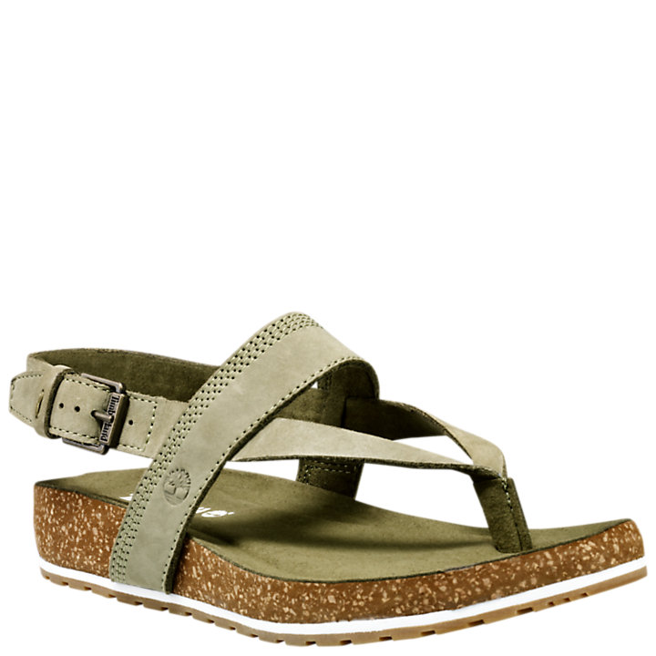 Women's Malibu Waves Thong Sandals | Timberland US Store