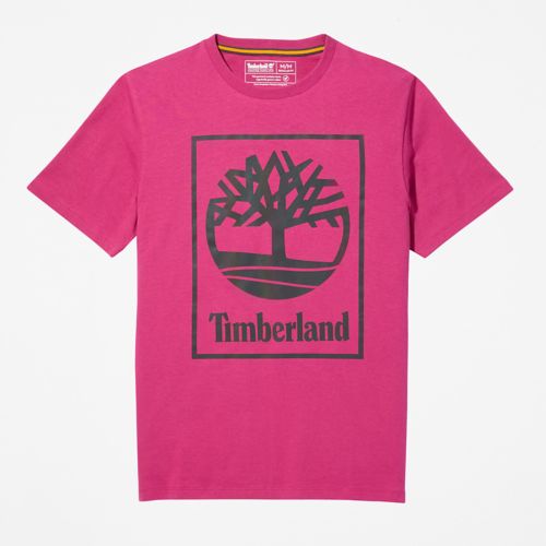 Men's NL Sky Graphic Tree-Logo T-Shirt-