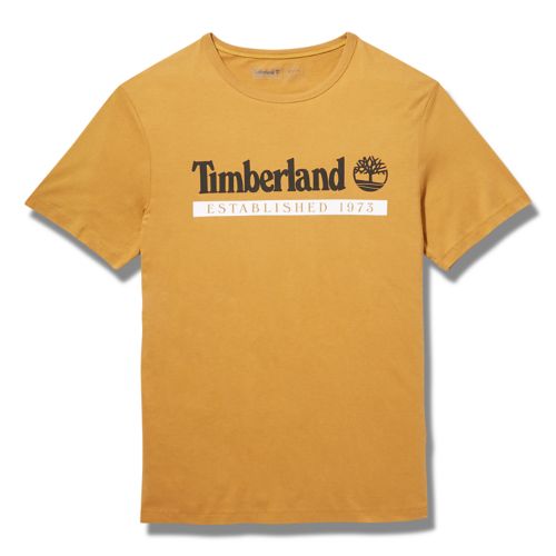 Men's Established 1973 Logo T-Shirt-