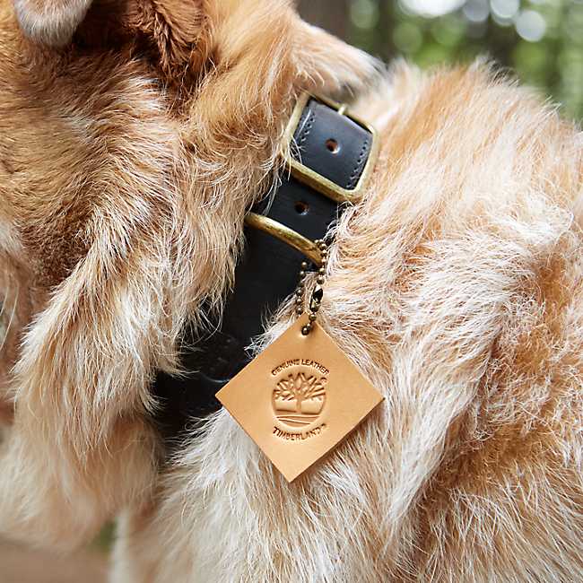 Large Leather Dog Collar