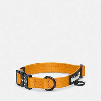 Small Tactical Web Dog Collar