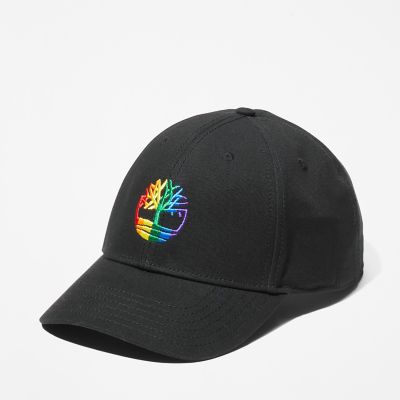 Rainbow Logo Baseball Cap