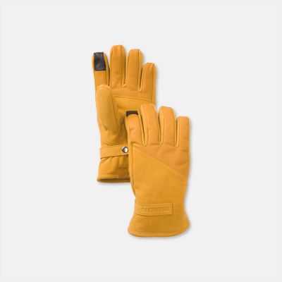 Men's Forest Brook Nubuck Gloves