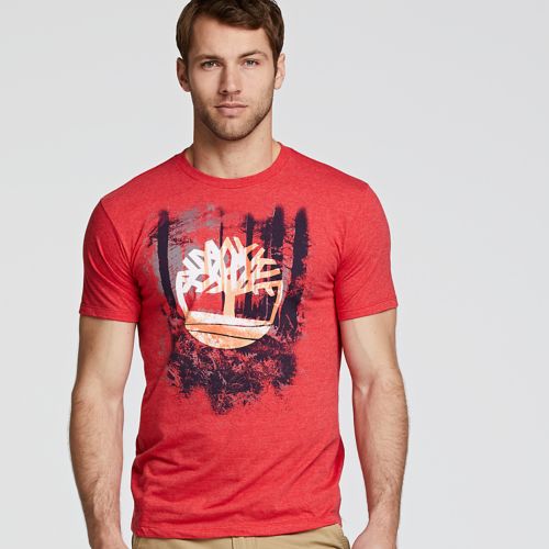 Men's Shining Through T-Shirt | Timberland US Store