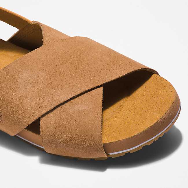 Women's Malibu Waves Basic Backstrap Sandals