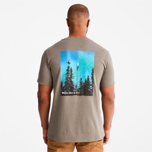 Marque  Timberland PROTimberland PRO T-shirt à manches courtes pour homme Base Plate Hw Northern Lights 