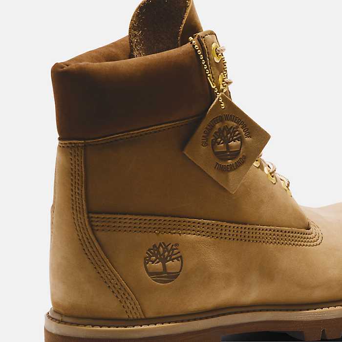 en cualquier sitio Digno inventar Men's Timberland® Premium 6-Inch Waterproof Boots
