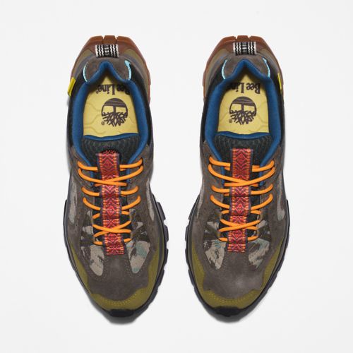 Men's Bee Line x Timberland Solar Ridge Waterproof Hiking Shoes-