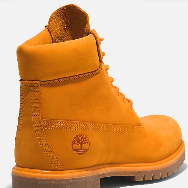Botte imperméable Timberland® 50th Anniversary Edition 6-Inch pour hommes