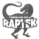 Timberland PRO® Raptek